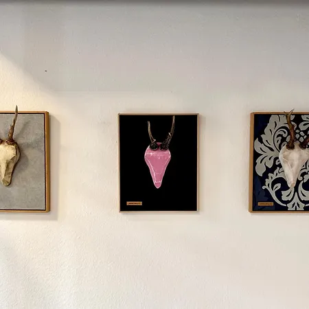 Hotel Adler Und Restaurant